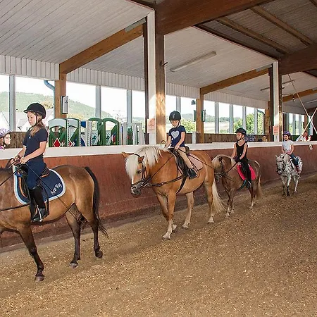 Pony-und Gut Habbecke