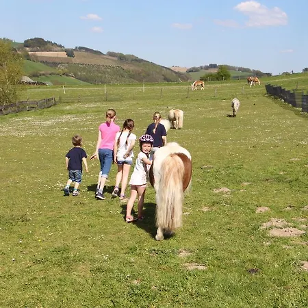 Pony-und Gut Habbecke *