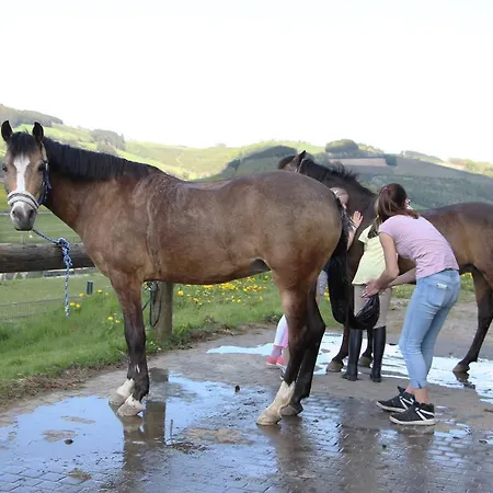 Apartment Pony-und Gut Habbecke *