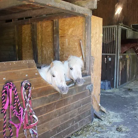 Pony-und Gut Habbecke